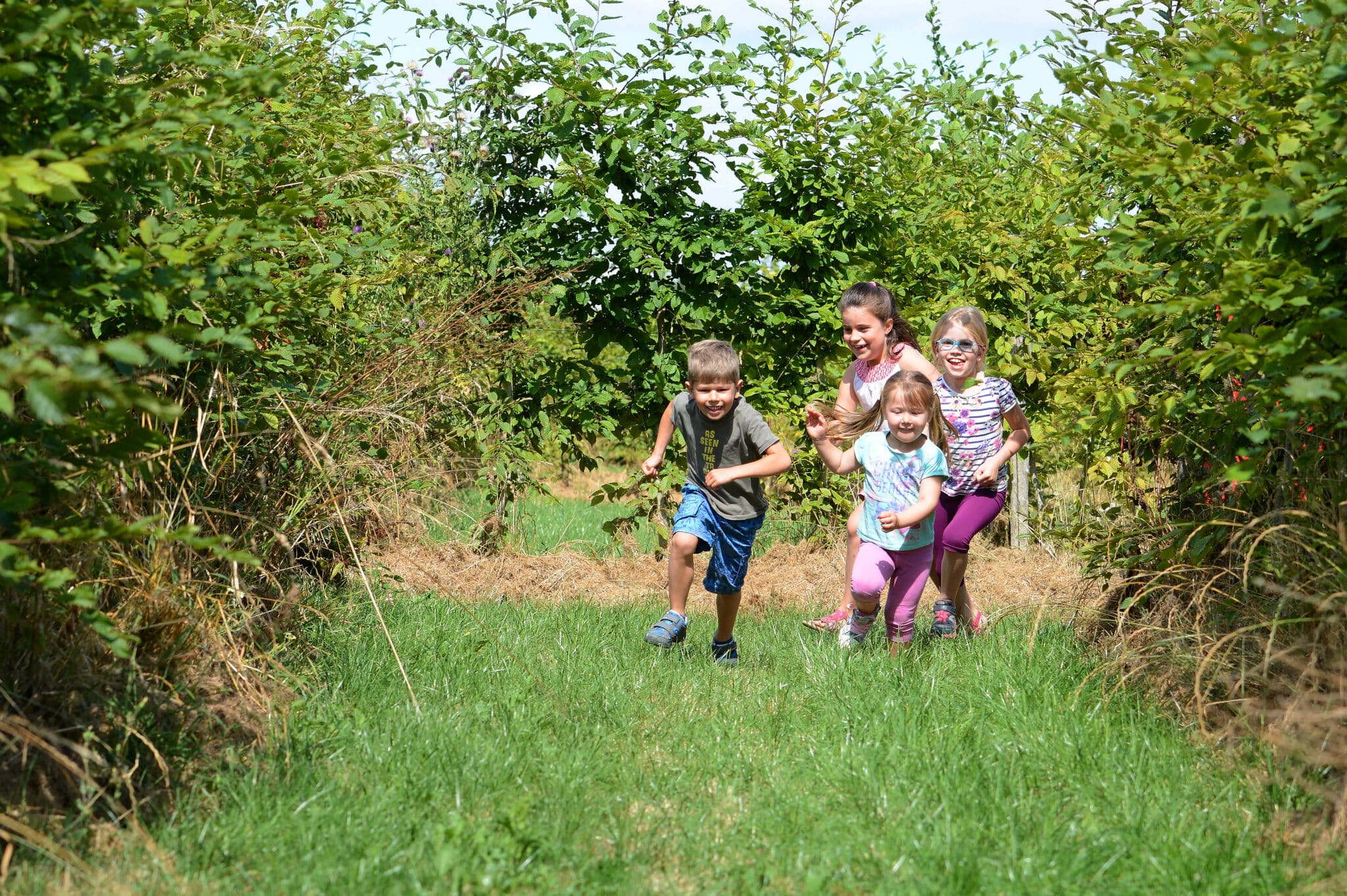labyrinte-sevre-autruche