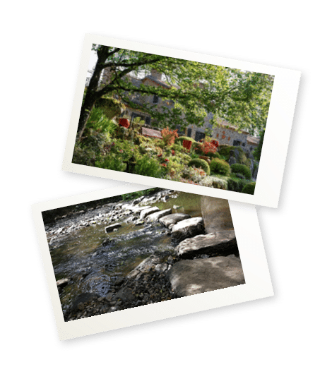 clos-oncle-georges-jardin-cistus-j2