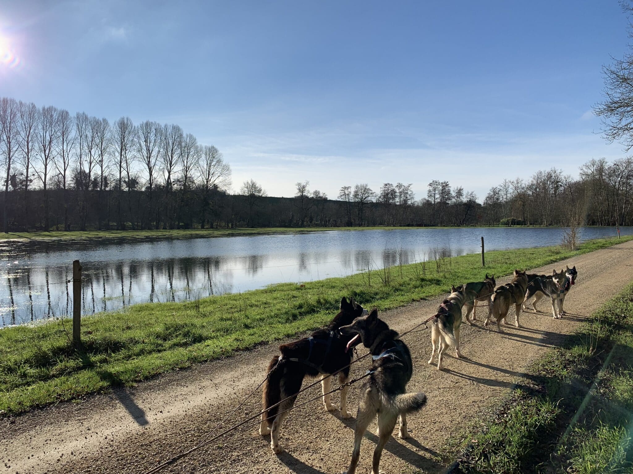 rencontre-avec-les-loups