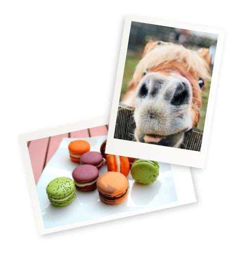 Apprendre en s'amusant : atelier cuisine, nuit dans une yourte au milieu des animaux