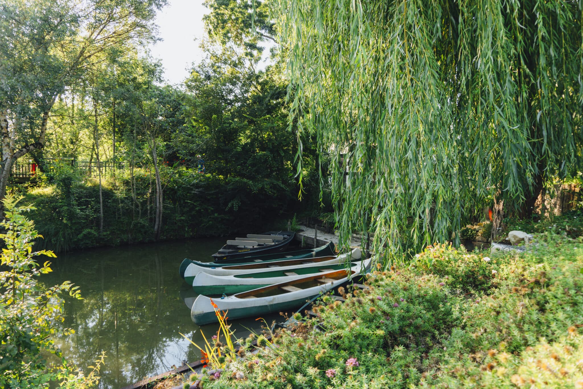 marais-poitevin-nature