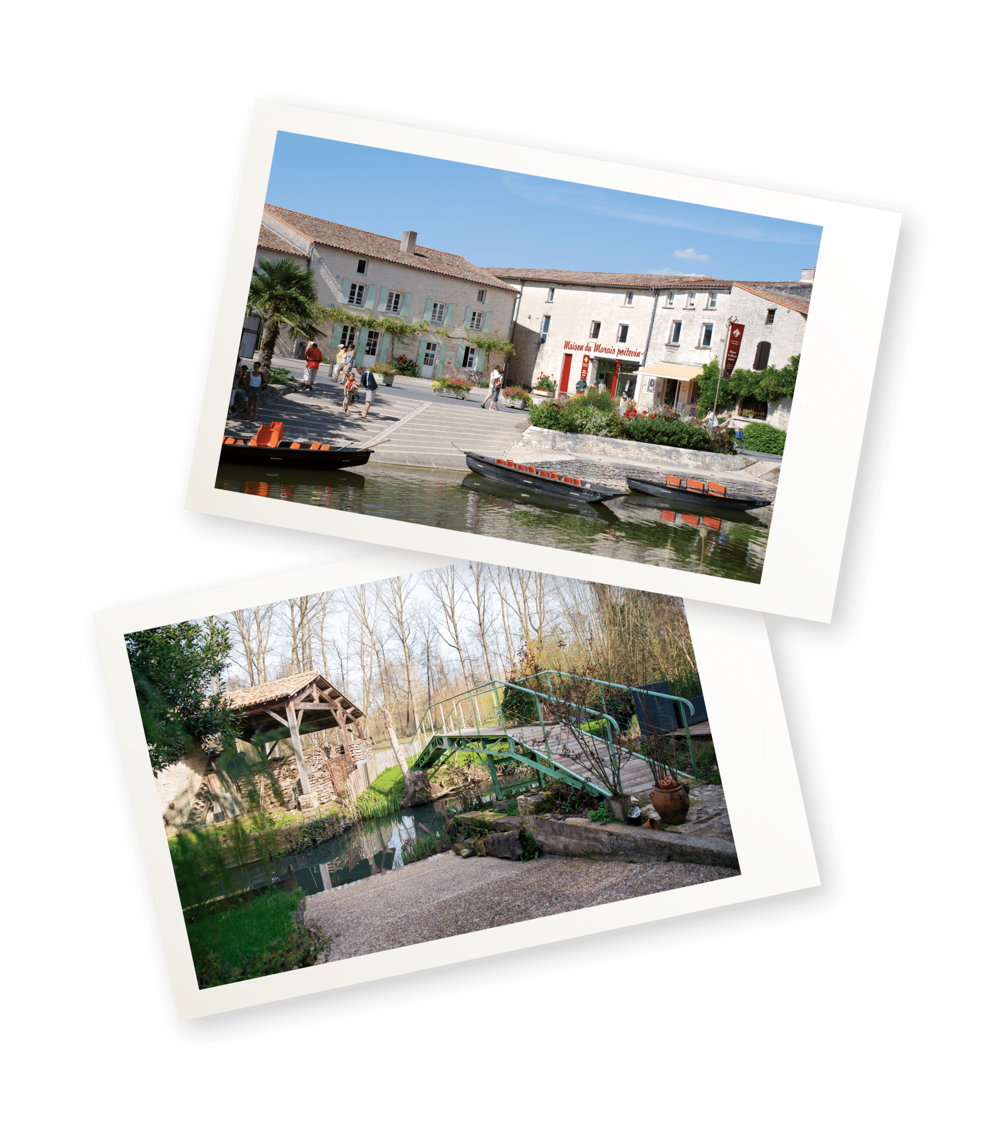 maison-du-marais-poitevin-le-trefle-d-eau