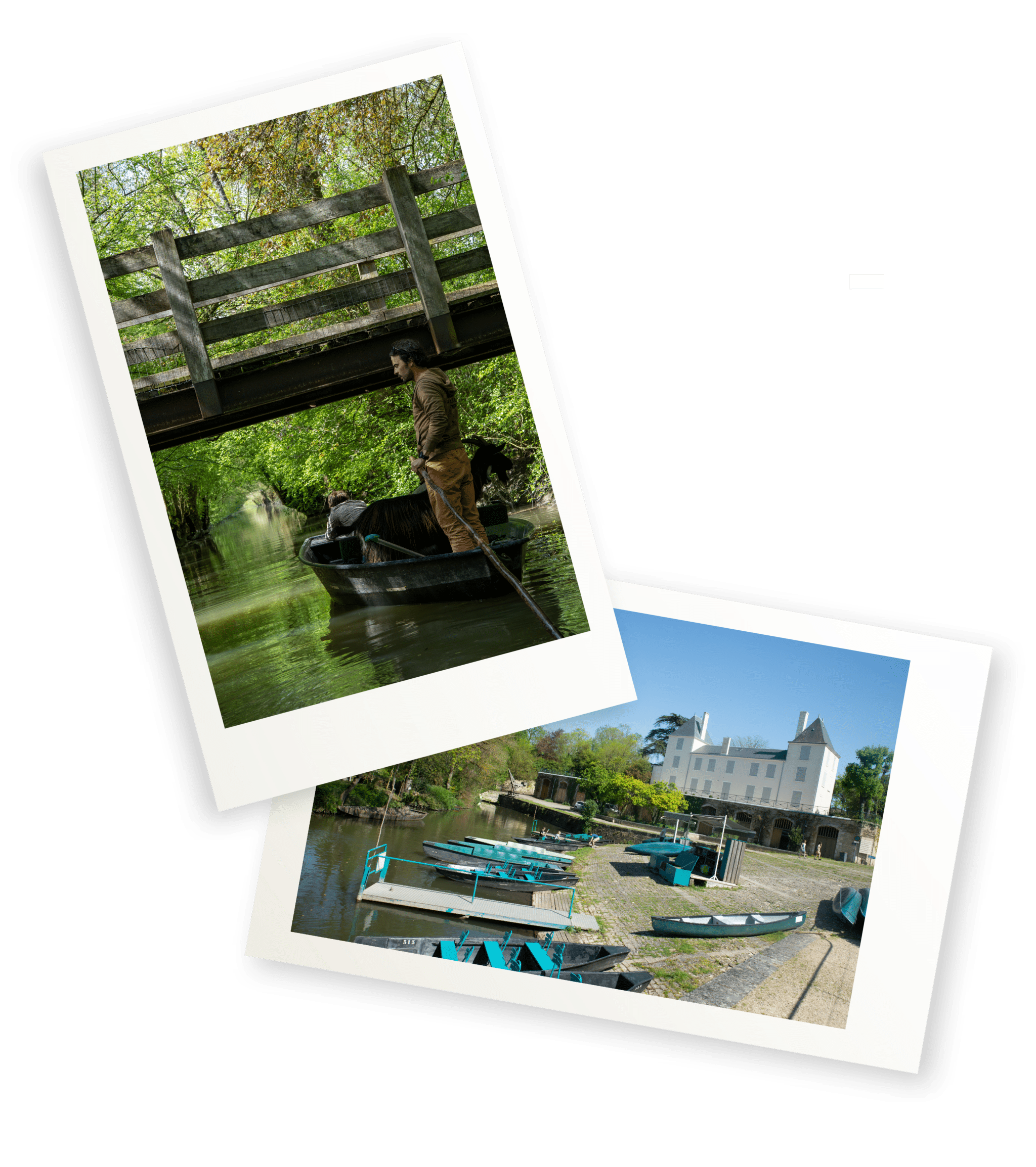 port-arcais-parc-oiseaux-marais-poitevin