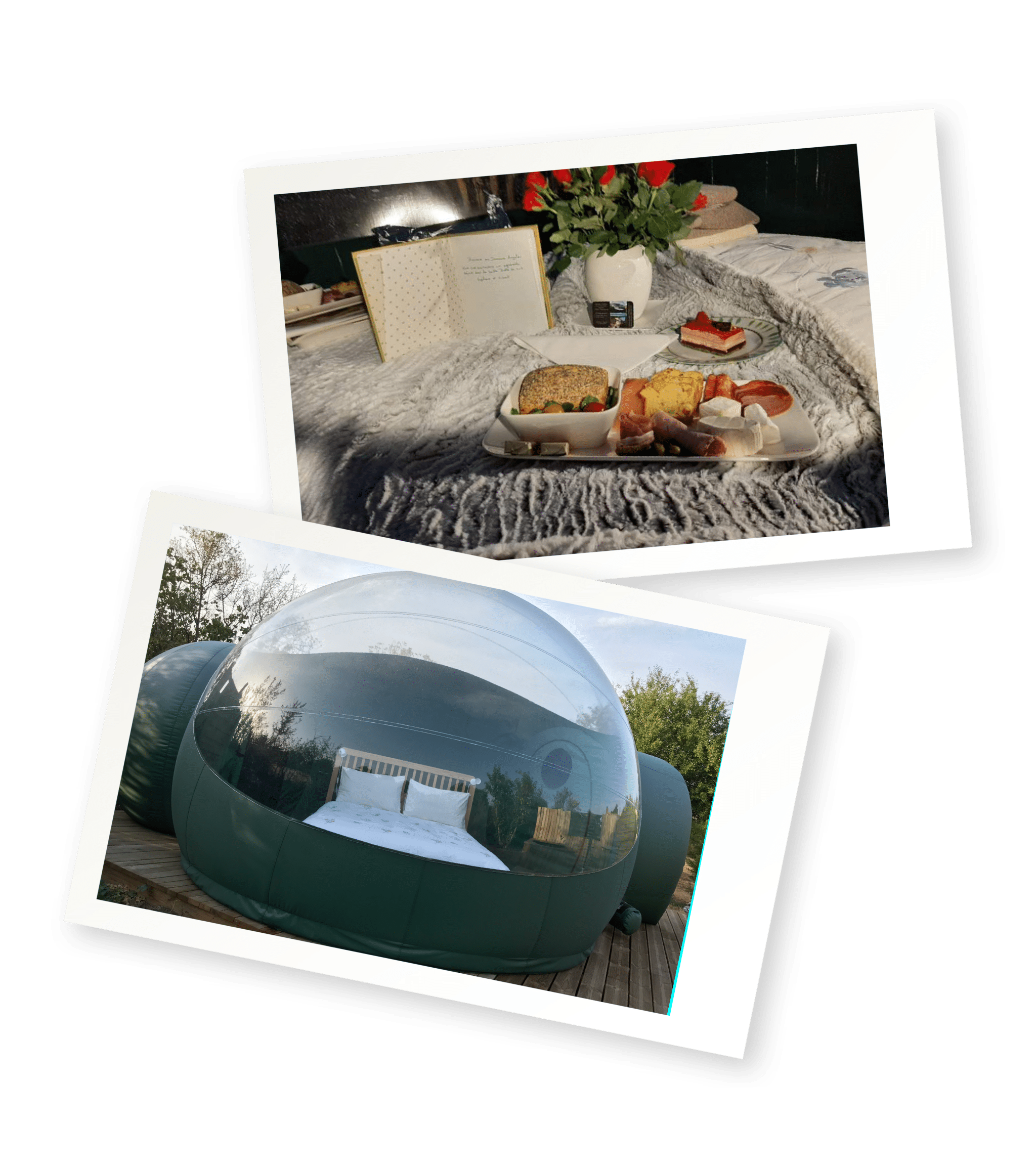 domaine-angelou-bulle-belle-de-nuit