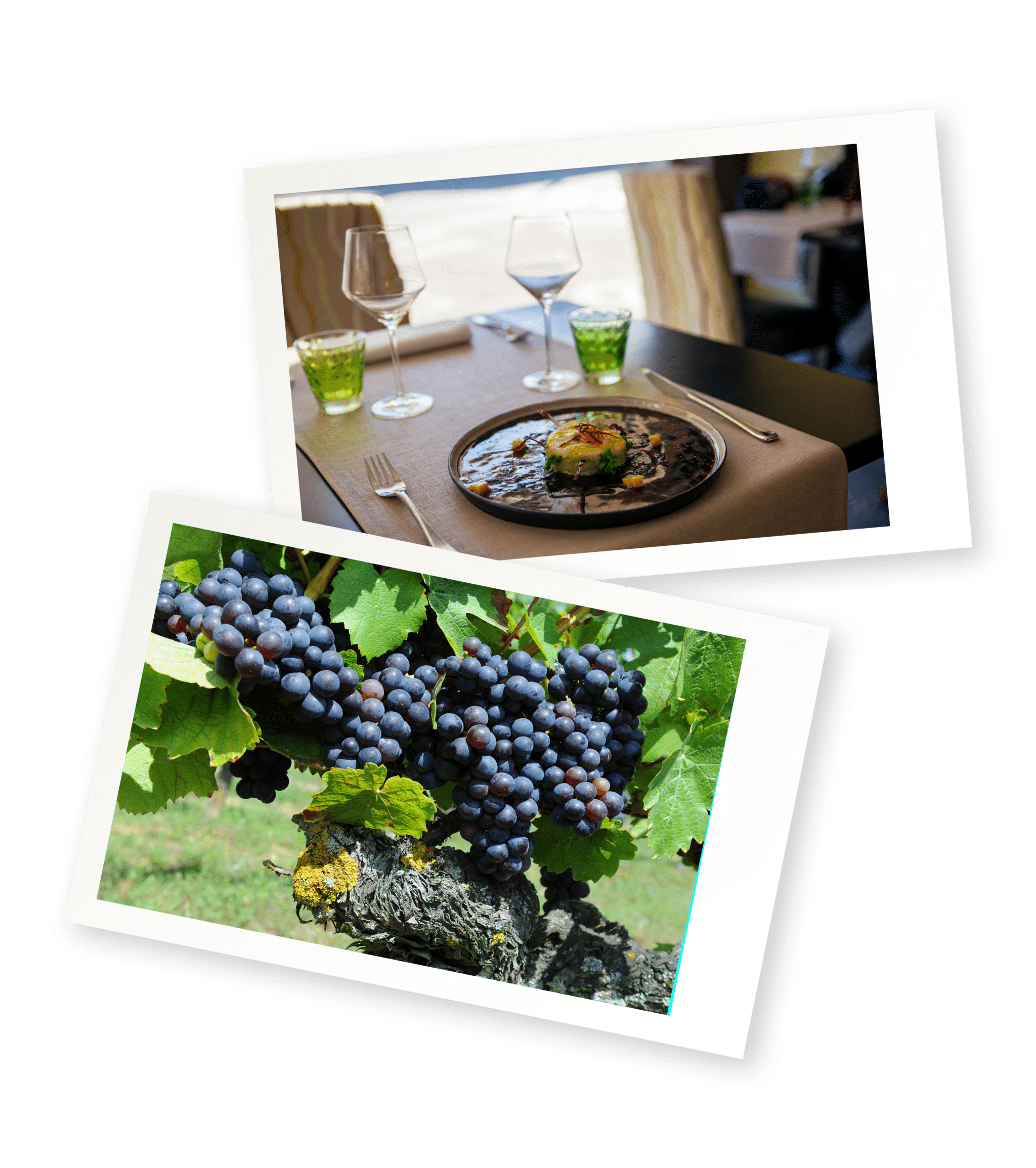 escapade-aero-viticole