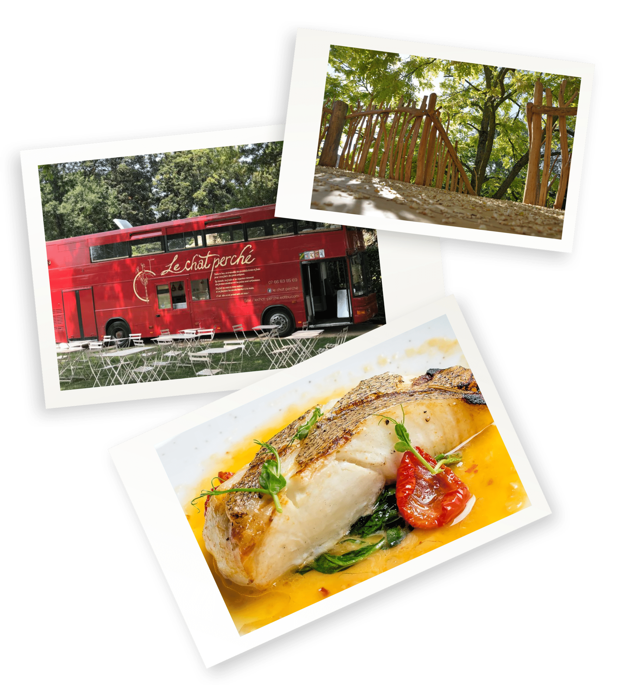 auprès-de-mon-arbre-j2