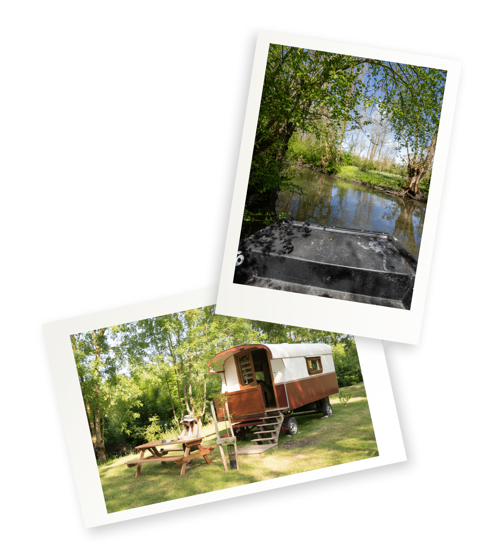 oiseaux-du-marais-poitevin-camping-du-lidon