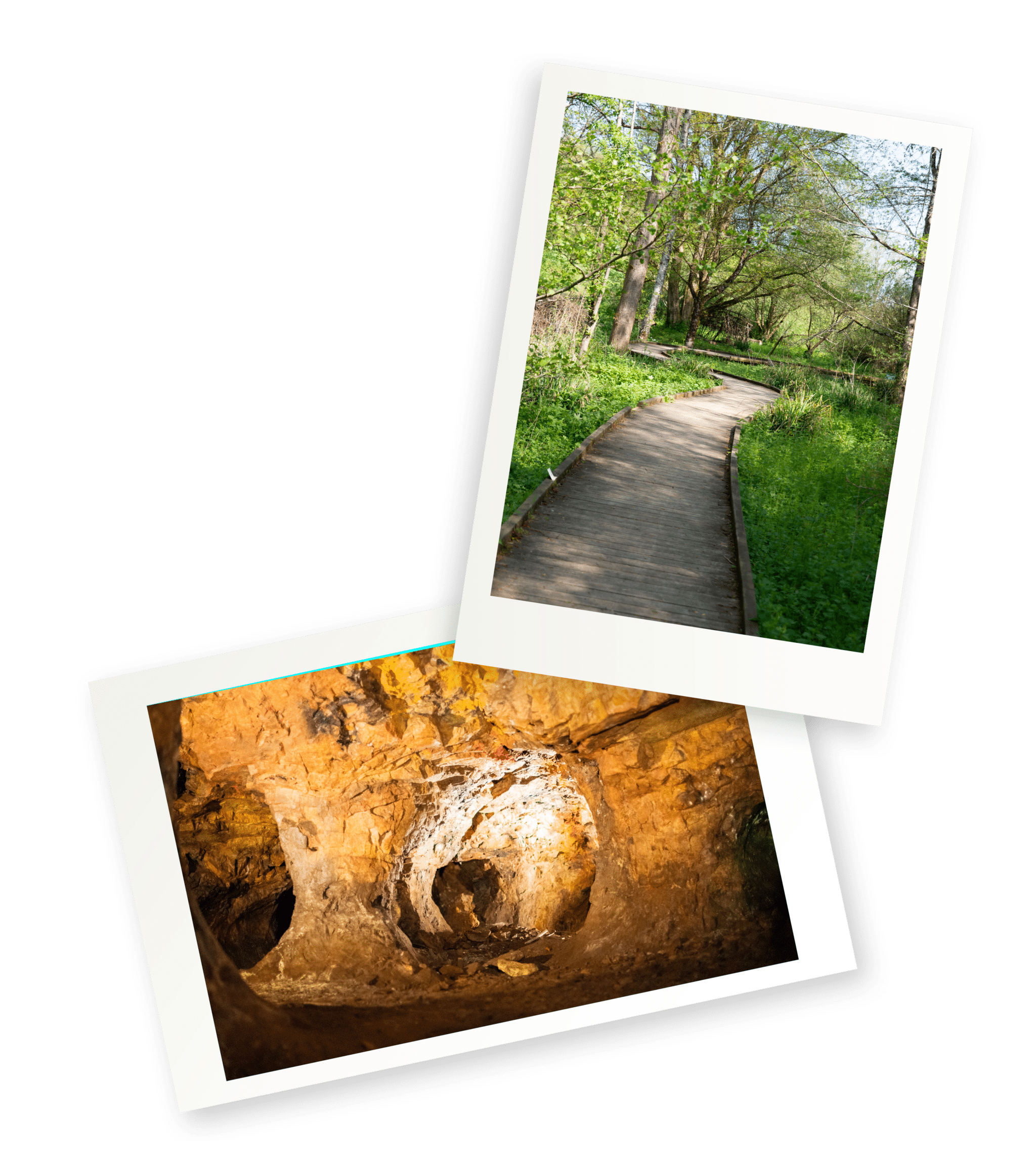 mines-d-argent-arboretum