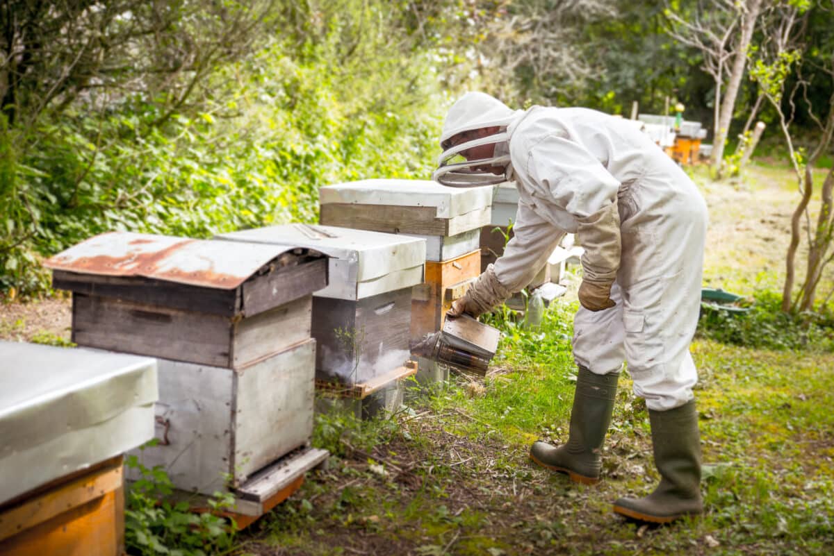 Azay-le-Brulé Prieuré de St-Barthélémy