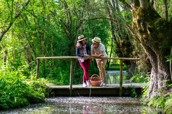 oiseaux-du-marais-poitevin
