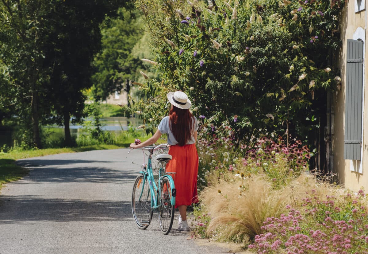 Marais poitevin, labyrinthe aquatique