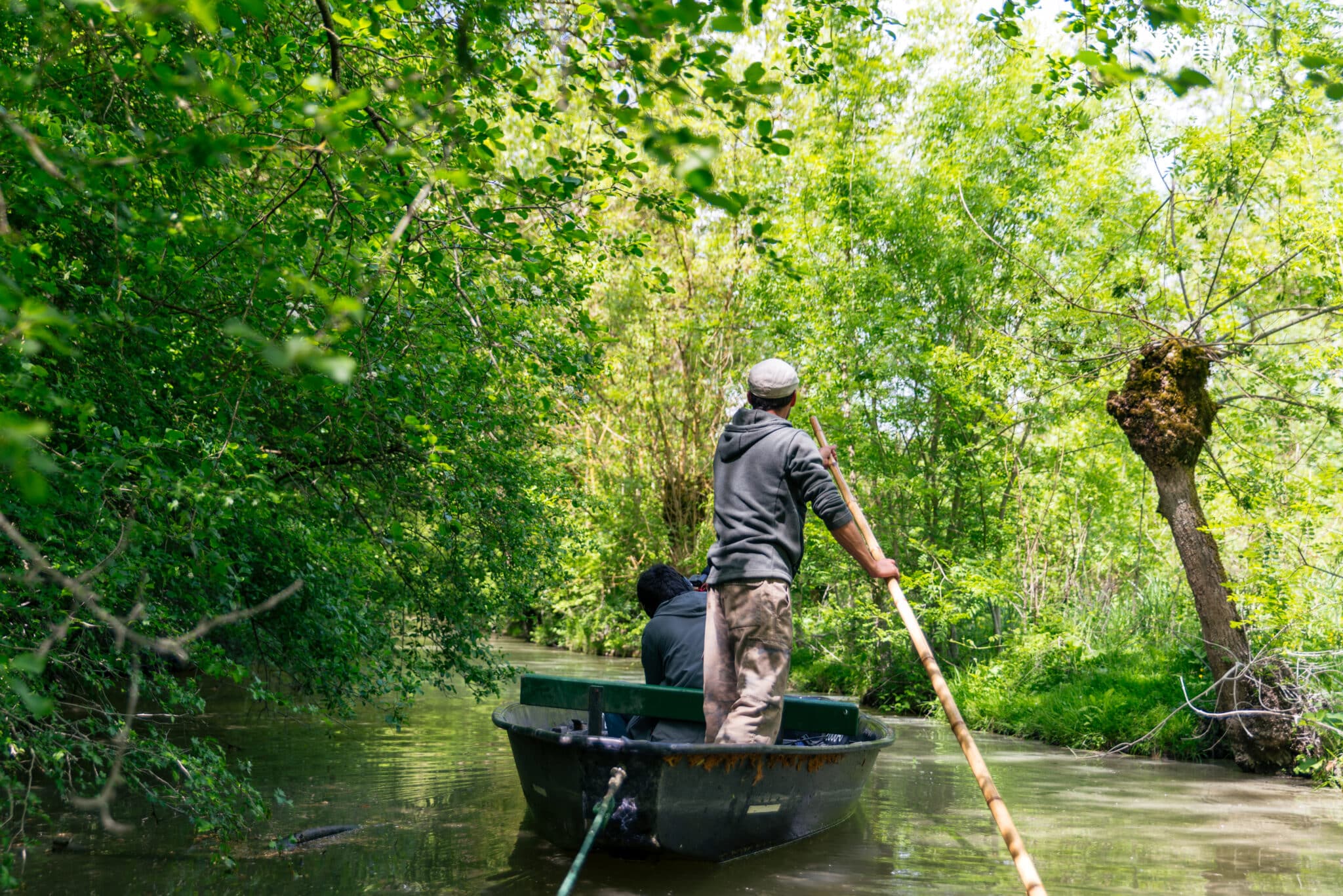Marais poitevin parc des oiseaux