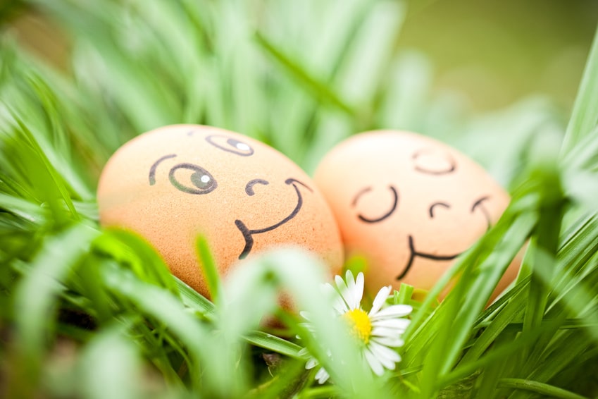 Chasse aux œufs Paques en Deux-Sèvres