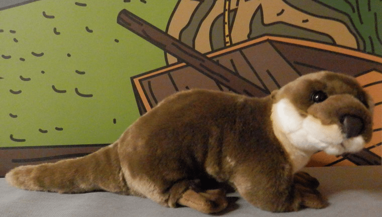 loutre du marais poitevin