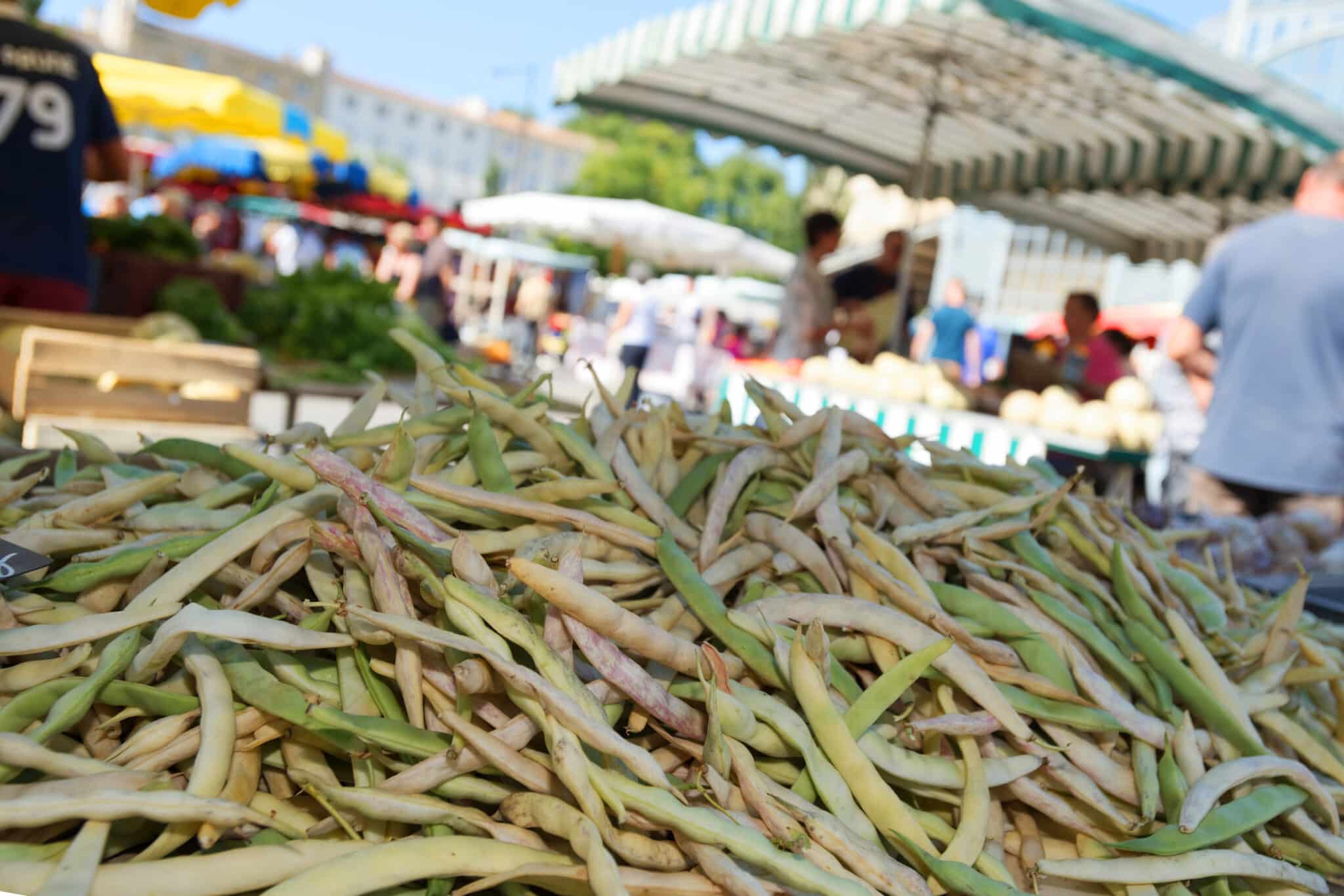 Mogettes du Marais poitevin