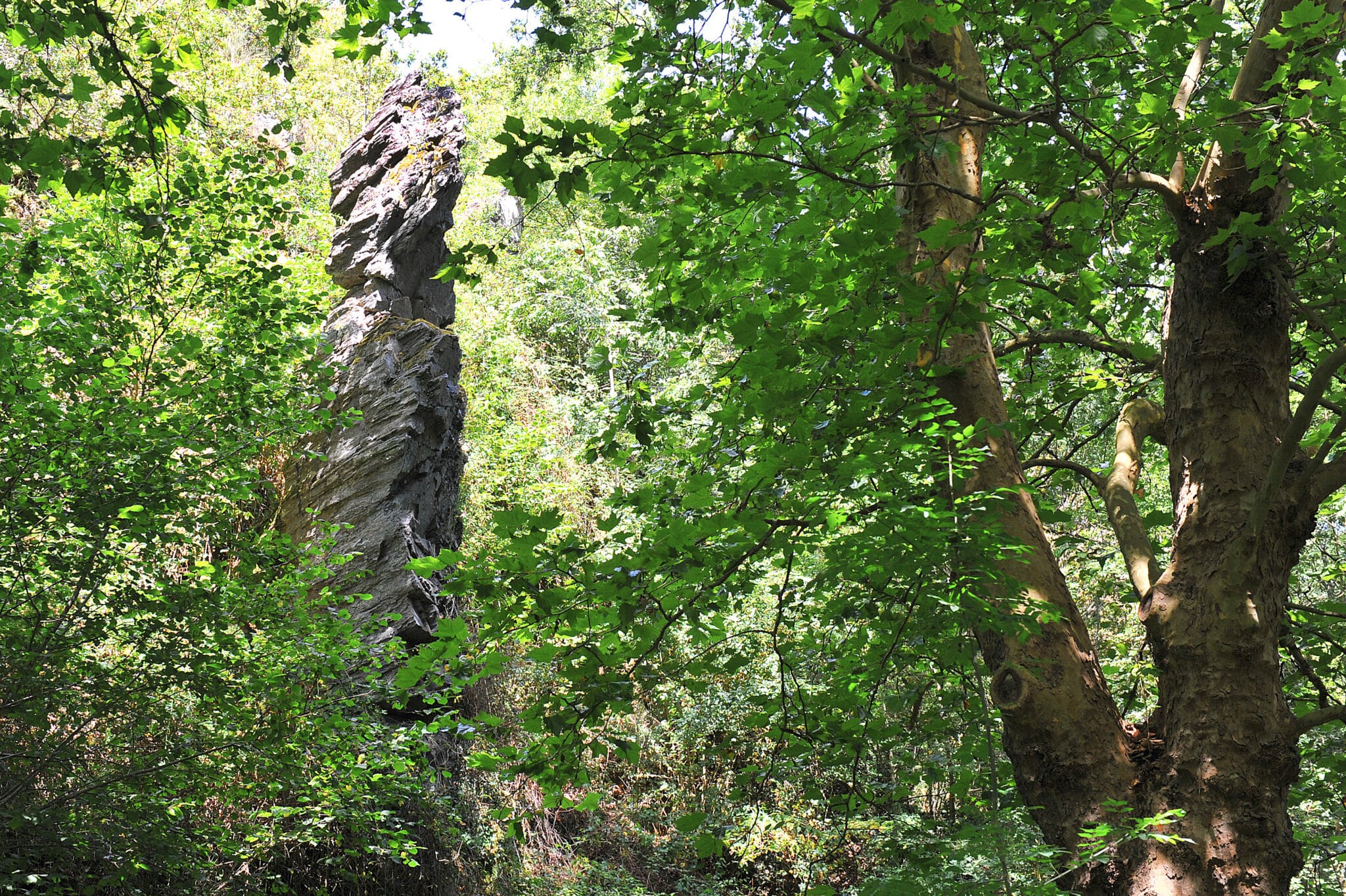 Randonnée la Dame de Chambrille