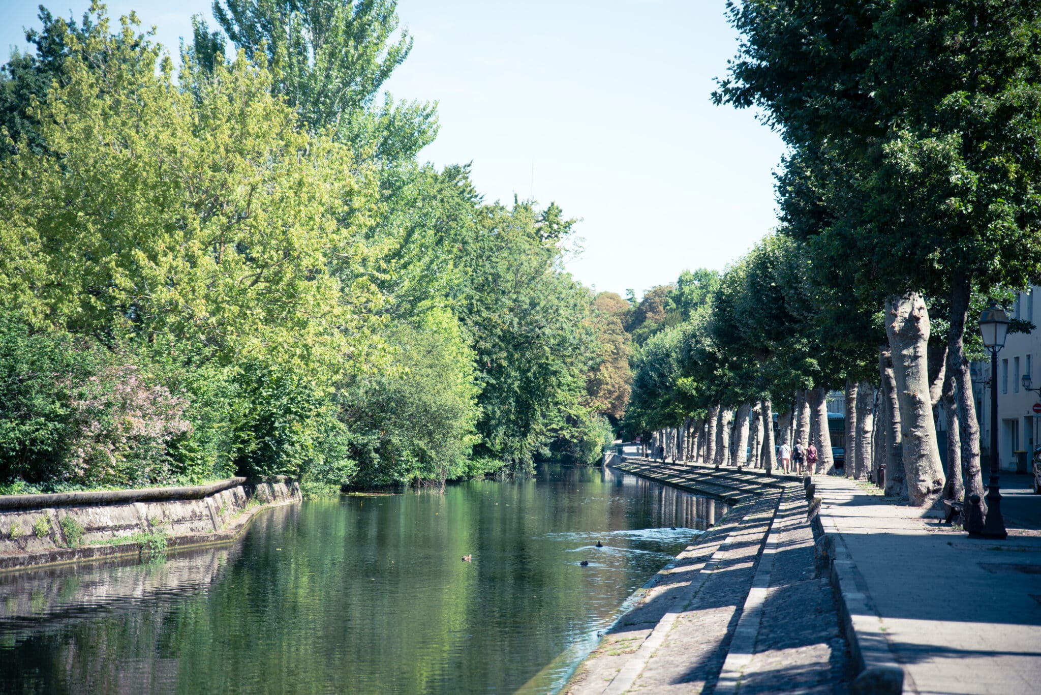 Niort, capitale urbaine Marais poitevin