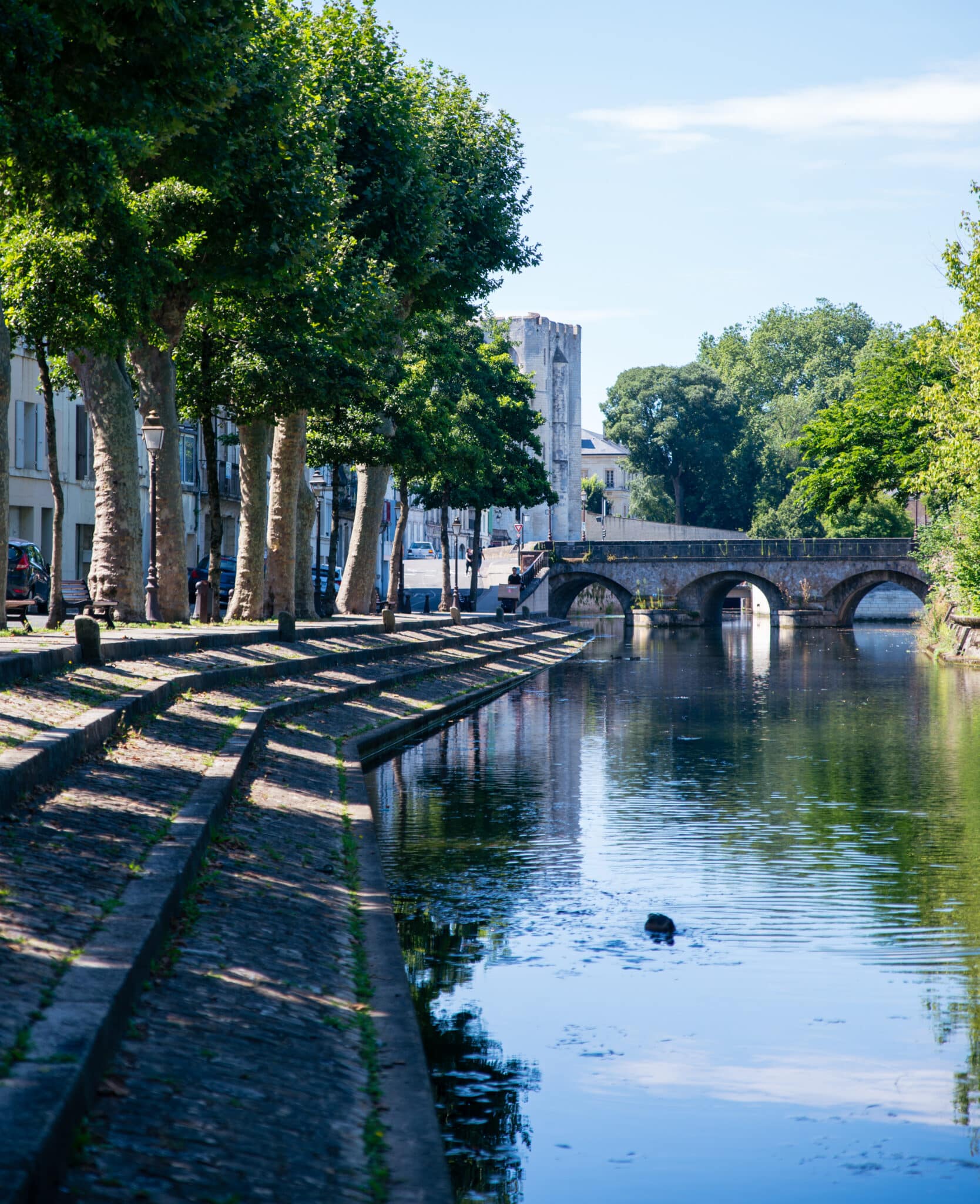 Aire de pique nique à Niort - Port Boinot