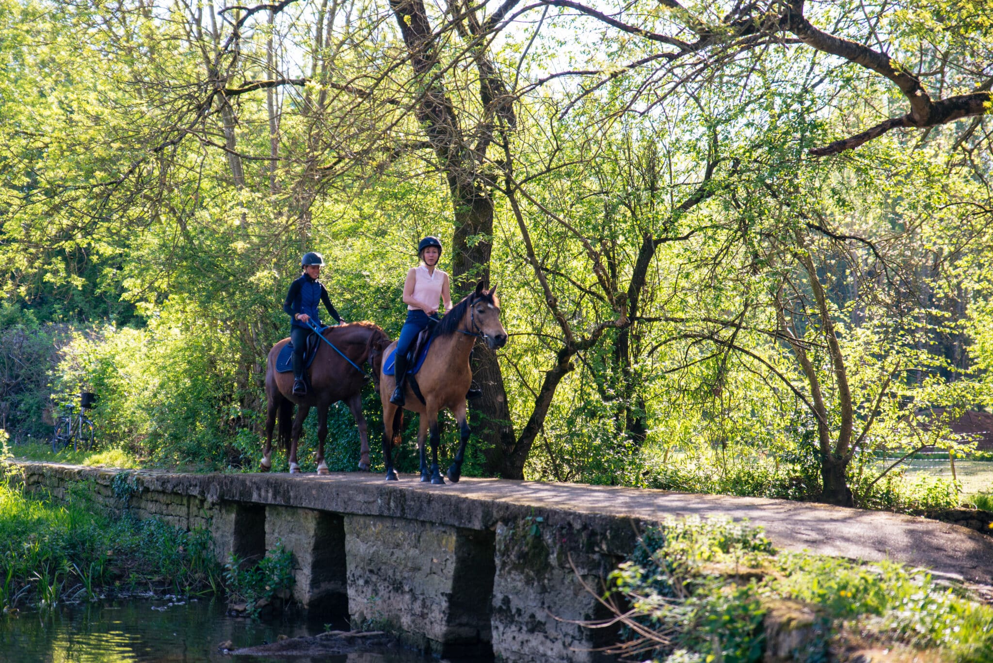 balade à cheval en deux-sevres