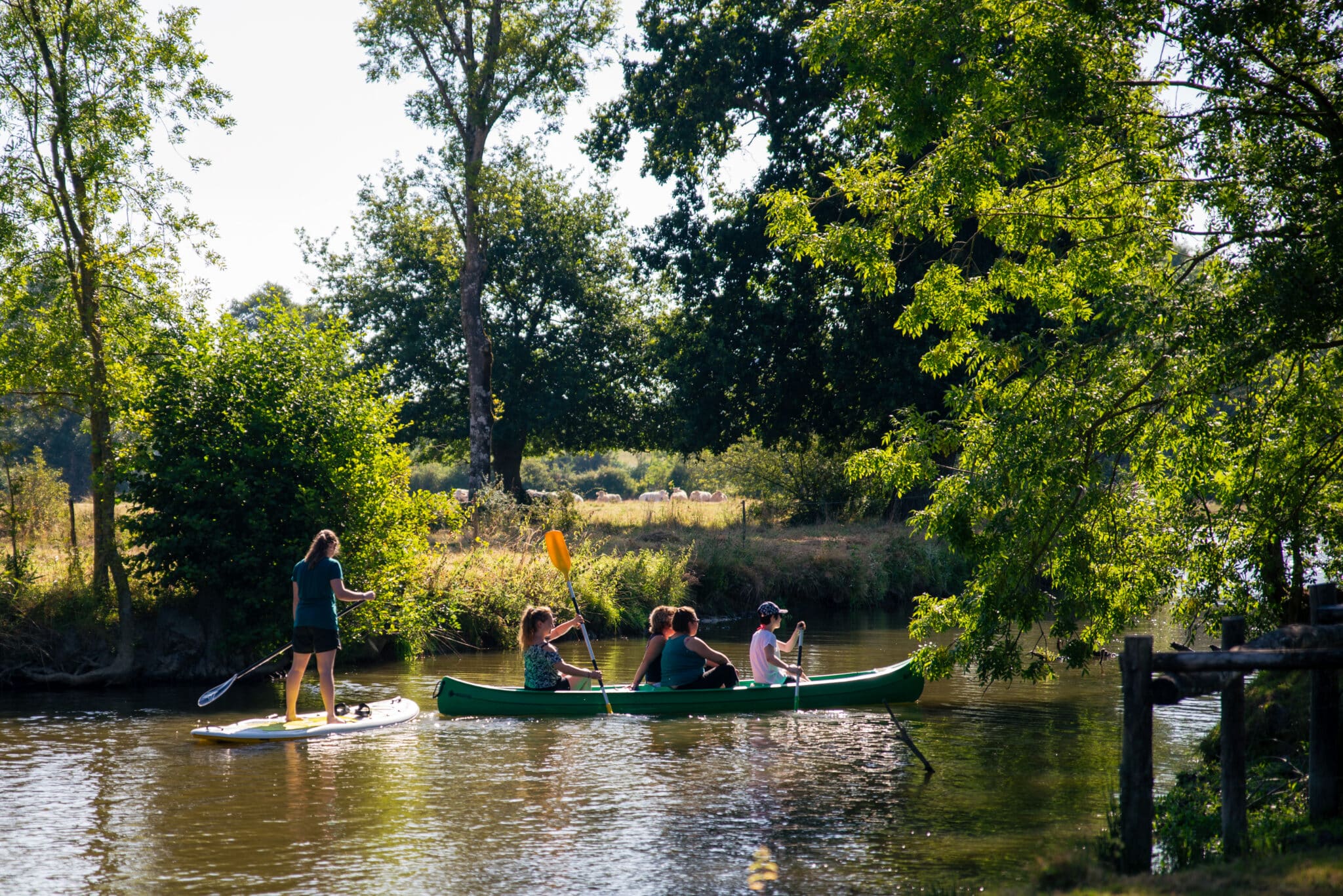Paddle La Forêt sur Sèvre