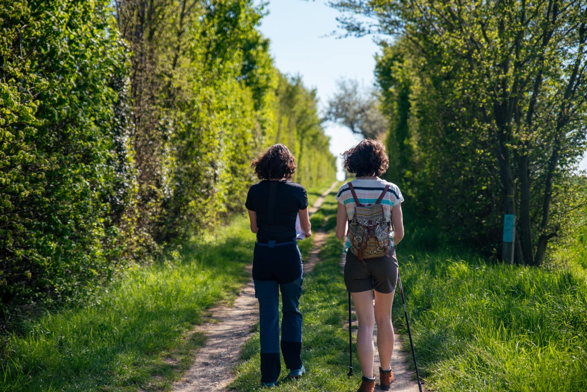 randonnée en deux-sevres
