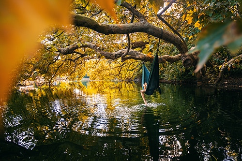 Le Marais poitevin en automne